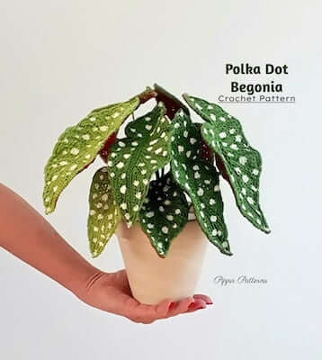 Crochet Polka Dot Begonia Pattern by Pippa Patterns Crochet