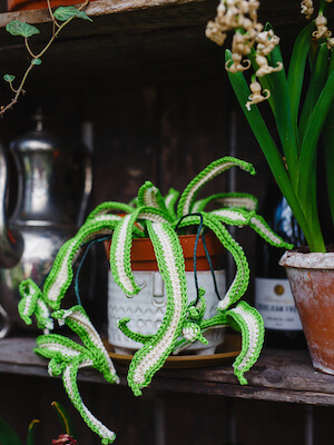 Crochet Spider Plant Pattern by Tracey Todhunter