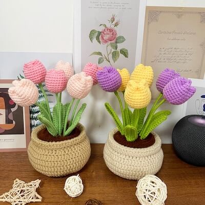 Crochet Tulip Flower Pot Pattern by Lily's Lyric