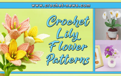 11 Crochet Lily Flower Patterns