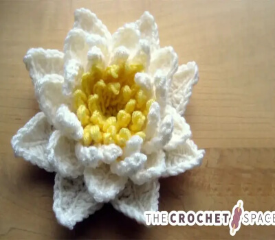 Crocheted Water Lily Pattern by The Crochet Space