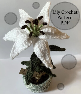 Lily Crochet Pattern by BackSideBaby