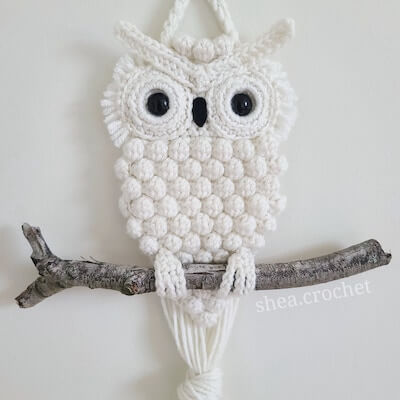Crochet Owl Wall Hanging Pattern by Shea Crochetxx
