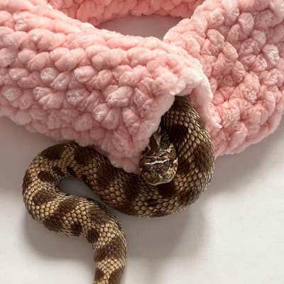 Small Crochet Snake Tube Hide Pattern by Dominos Craft Corner
