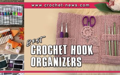 10 Best Crochet Hook Organizers for 2024