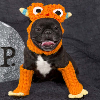 Crochet Dog Monster Costume Pattern by Red Heart