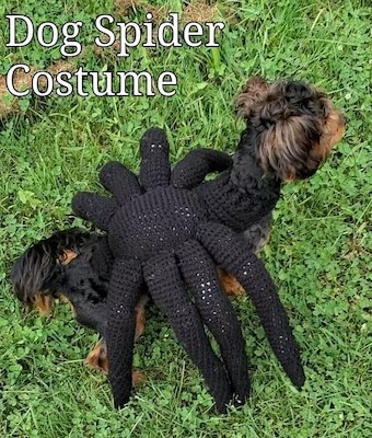 Dog Spider Halloween Costume Crochet Pattern by Sharon Santorum