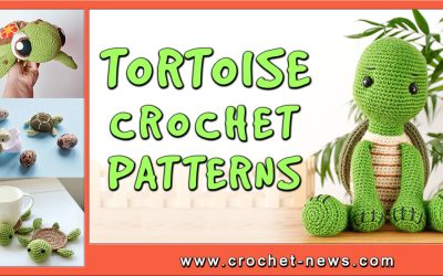 15 Tortoise Crochet Patterns