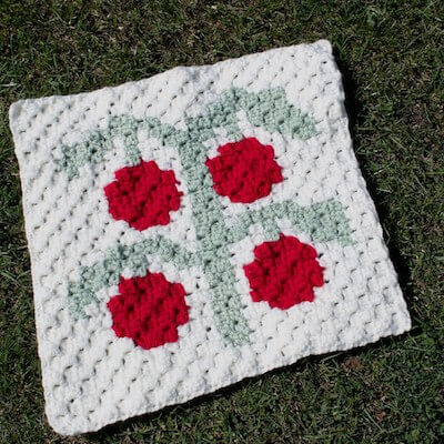 Crochet Tomato Square Pattern by E'Claire Makery