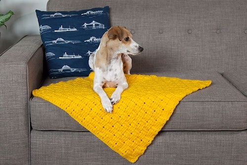 Comfort Crochet Pet Blanket Pattern by Stacey Winklepleck