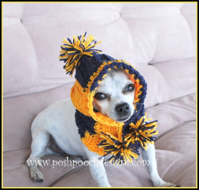 Sports Team Hooded Dog Snood Crochet Pattern by Poshpoochdesigns