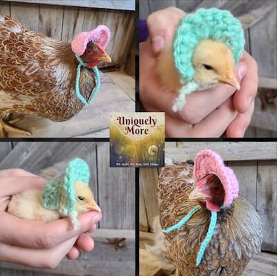 Crochet Hat For Chicken Pattern by Uniquely More