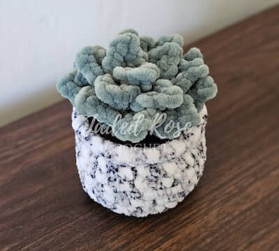 Small Potted Succulent Plant Crochet Pattern by Jaded Rose Crochet