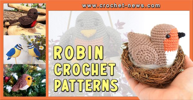 Crochet Robin Patterns