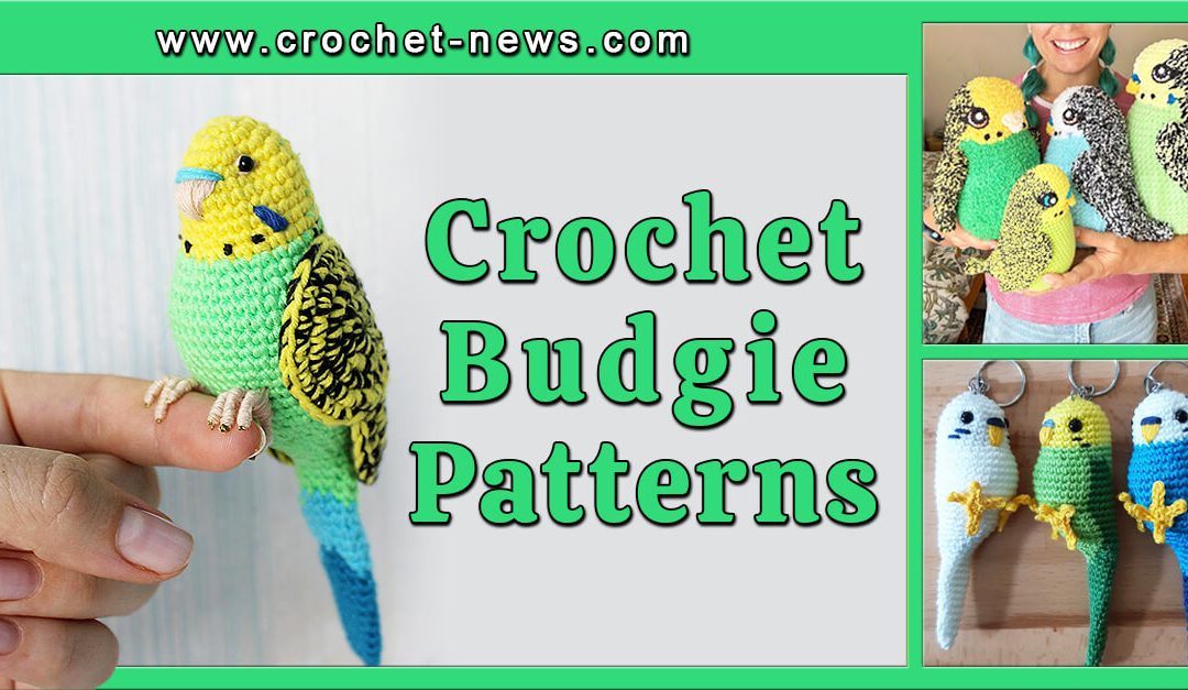 10 Crochet Budgie Patterns