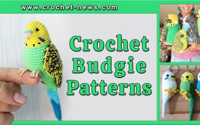 10 Crochet Budgie Patterns