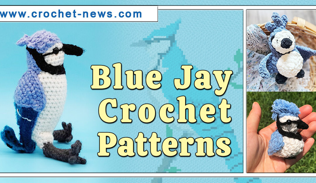 10 Blue Jay Crochet Patterns