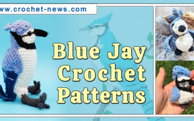 10 Blue Jay Crochet Patterns