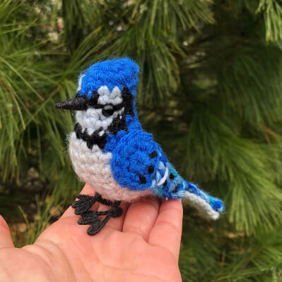 Beautiful Blue Jay Crochet Pattern by CrochetCartelCo