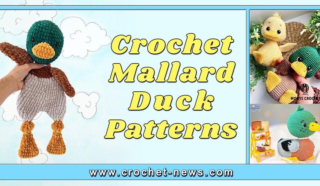 10 Crochet Mallard Duck Patterns