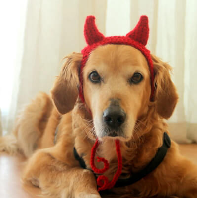 Crochet Devil Horns Headband with Ear Holes Pattern by PawsomeCrochet