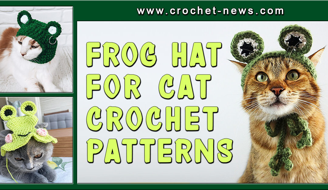 10 Frog Hat for Cat Crochet Patterns