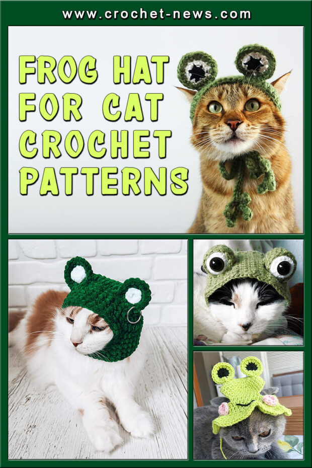 Frog Hat for Cat Crochet Patterns