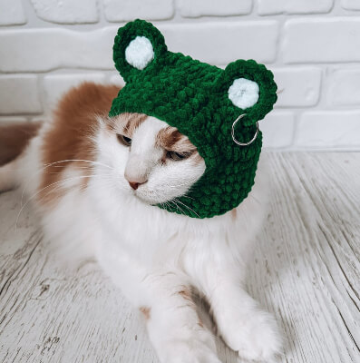 Balaclava Frog Cat Hat Crochet Pattern by SmachnaTorba