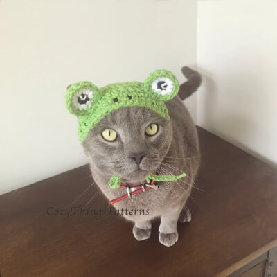 Cat Frog Hat Crochet Pattern by CozyThingsPatterns