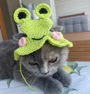 Crochet Cat Frog Hat Pattern by Mirabellabyceyda