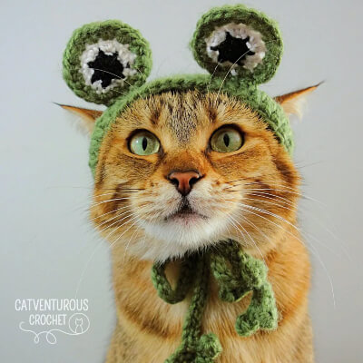 10 Frog Hat for Cat Crochet Patterns