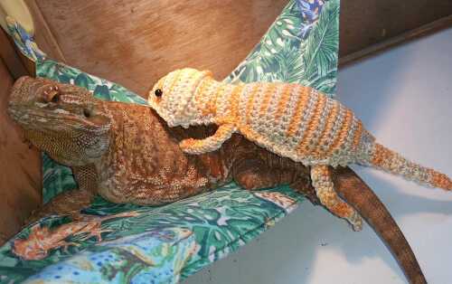 Bearded Dragon Amigurumi Stuffed Toy Crochet Pattern by HookedByLutya