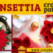 CROCHET POINSETTIA PATTERNS